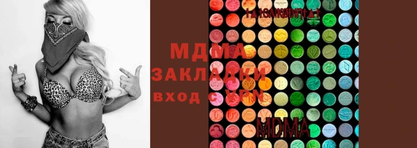 гидра Гусь-Хрустальный