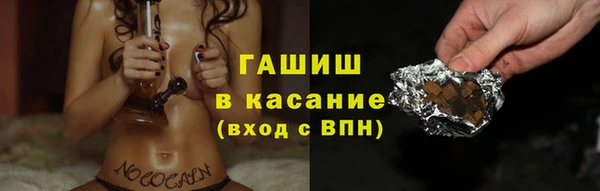 амф Гусев