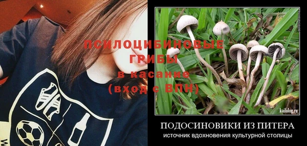 PSILOCYBIN Армянск