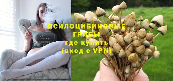 МДПВ Аркадак