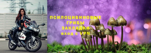 PSILOCYBIN Армянск