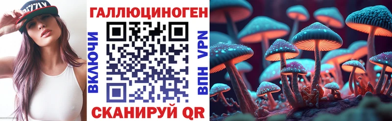 Галлюциногенные грибы Cubensis  Полесск 